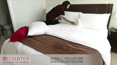 Avondale, North York